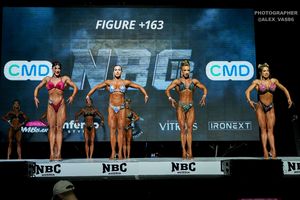 FIGURE +163